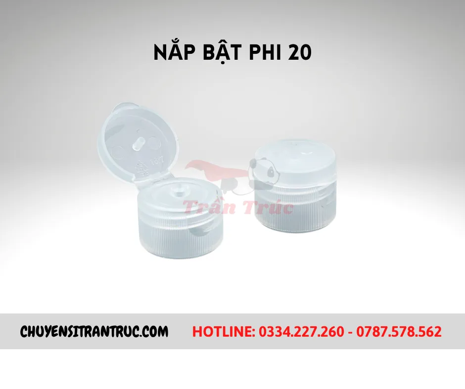 Nắp bật phi 20